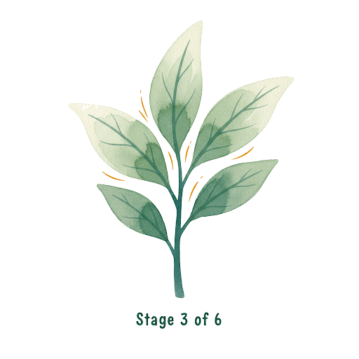 Growing strong phase illustration